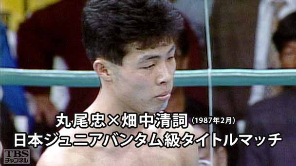 ボクシング WBA世界ジュニアフライ級タイトルマッチ 渡嘉敷勝男