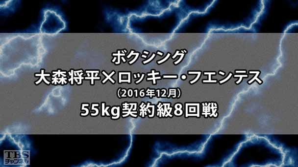 ボクシング 55kg契約級8回戦 大森将平×ロッキー・フエンテス（2016年12月）