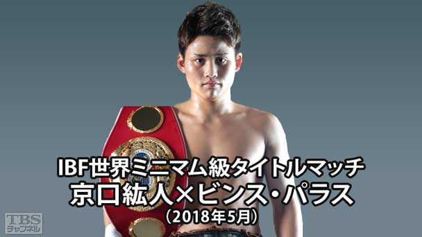 ボクシング IBF・WBO世界ミニマム級王座決定戦 高山勝成×大平剛