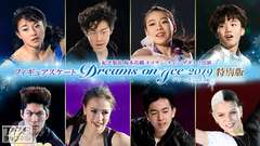 フィギュアスケート 紀平梨花 坂本花織 ネイサン・チェン ザギトワ出演 Dreams on Ice 2019 特別版