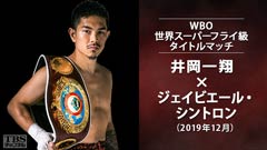 ボクシング WBO世界スーパーフライ級タイトルマッチ 井岡一翔×ジェイビエール・シントロン(2019年12月)
