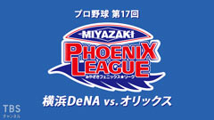 プロ野球 第17回みやざきフェニックス・リーグ 横浜DeNAvs.オリックス