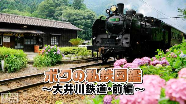 ボクの私鉄図鑑〜大井川鉄道・前編〜