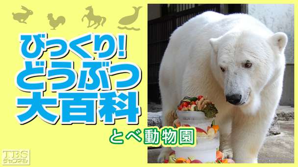 びっくり！どうぶつ大百科〜とべ動物園〜