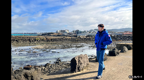 田島将吾　セット 田島将吾セット
