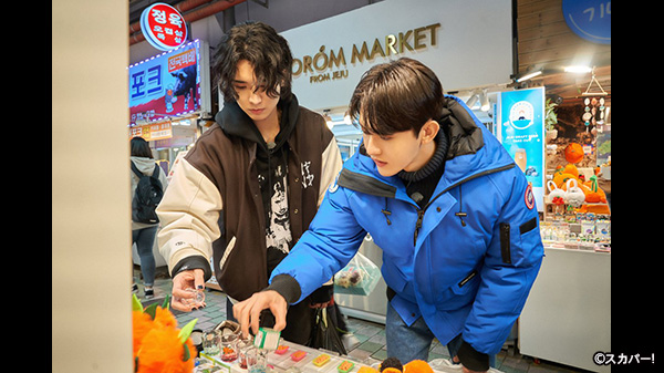田島将吾　セット 田島将吾セット