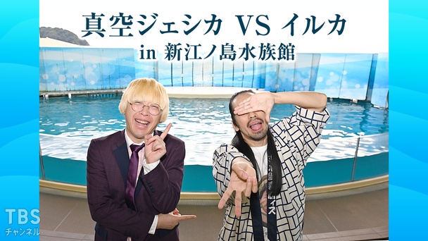 真空ジェシカ VS イルカ in 新江ノ島水族館｜バラエティ｜TBS