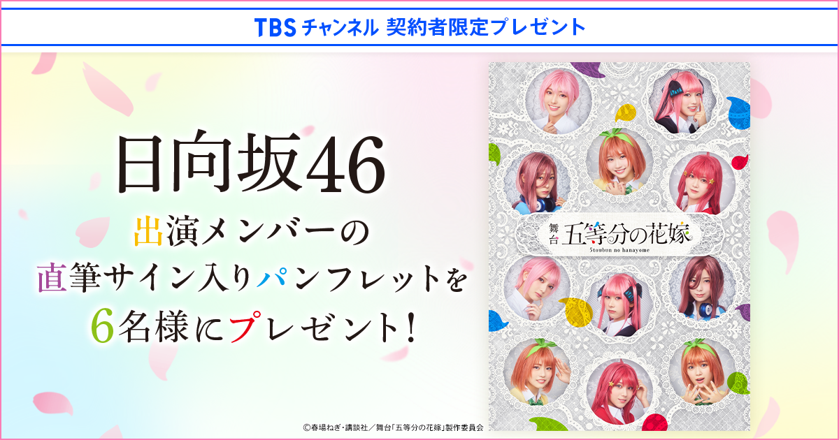 TBSチャンネル 契約者限定プレゼント 日向坂46 出演メンバーの直筆